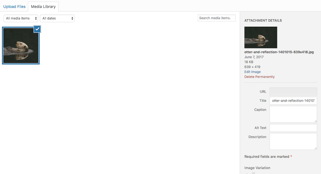 new-image-in-library