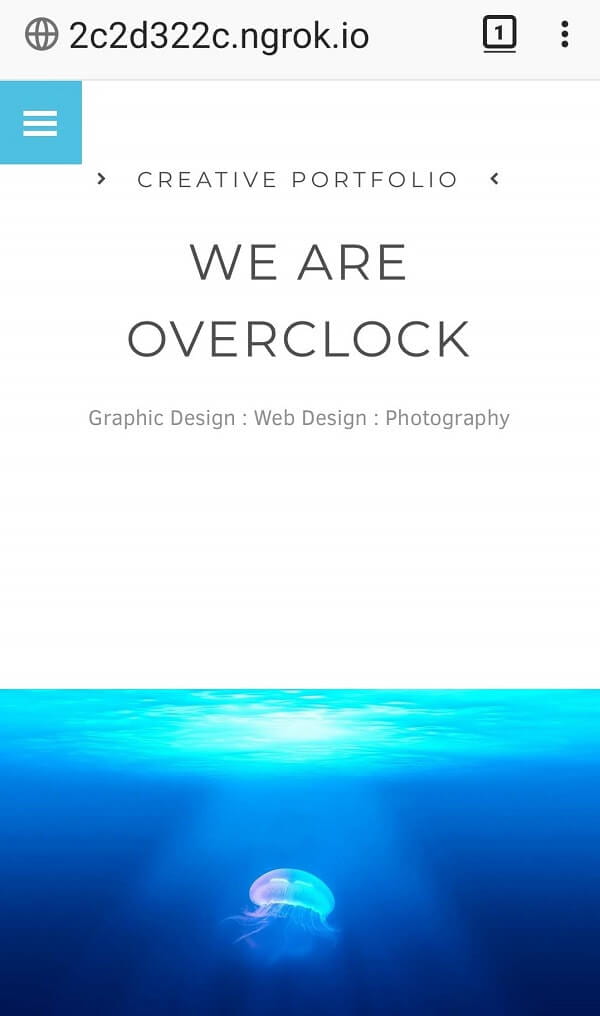 An ngrok live link on a phone