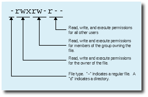 Diagram of the text permissions