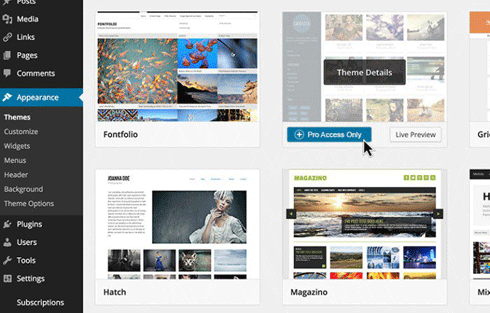 Enable the premium themes module in Pro Sites and charge users for access to a greater range of themes.