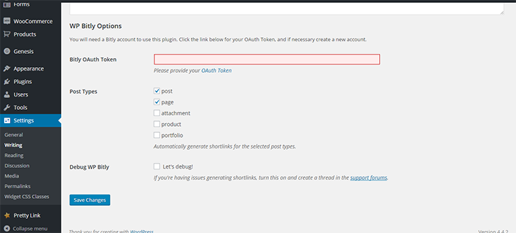 Screenshot-WP-Bitly-Settings