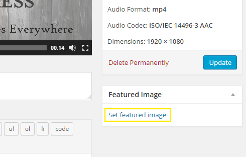 set-featured-image-video Set featured image link on the edit media page.