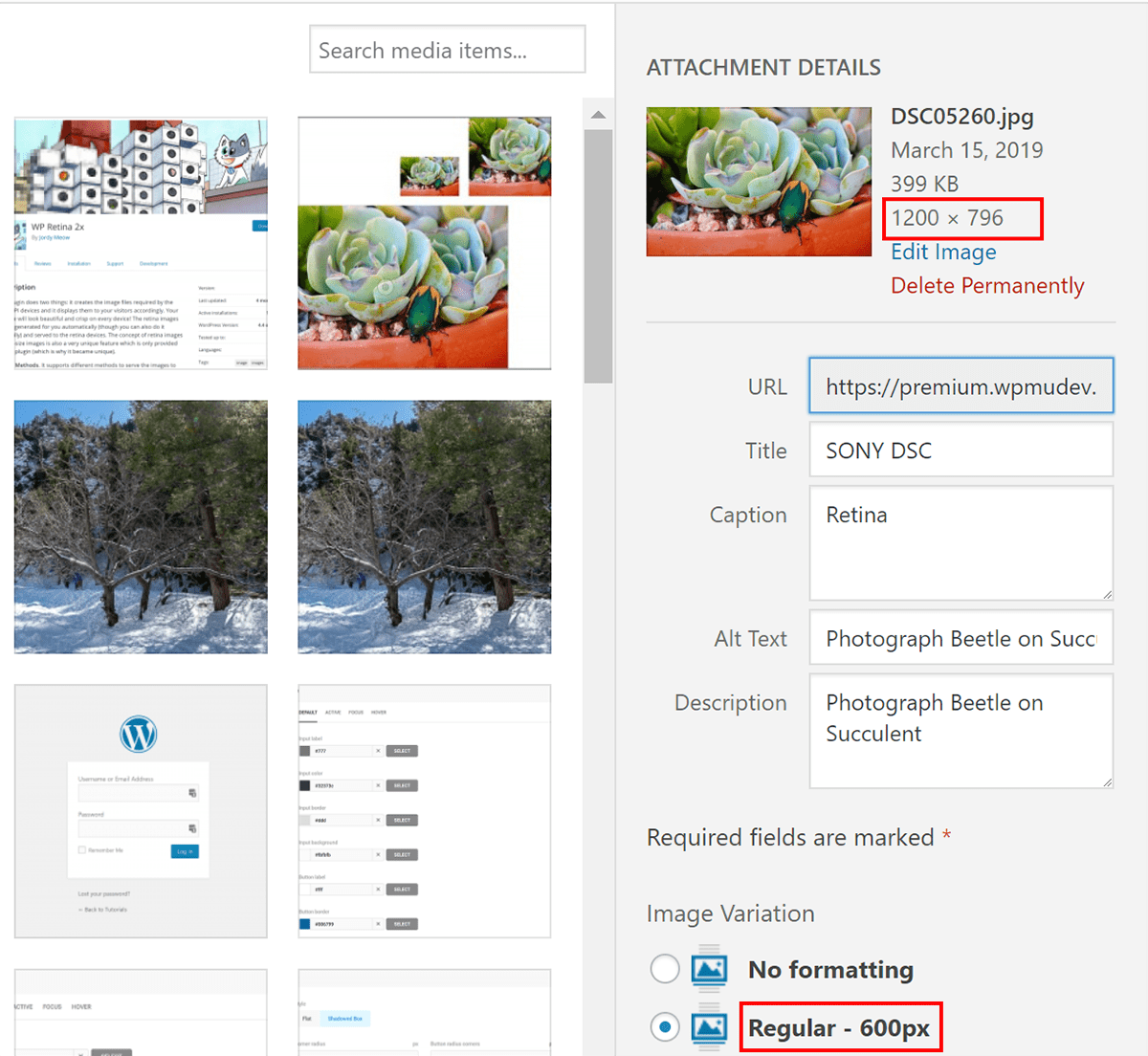 Screenshot of media library.