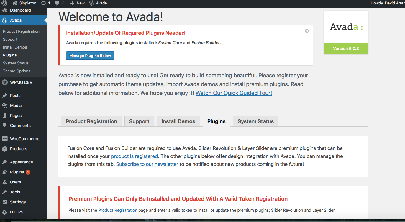 Welcome to Avada plugins section