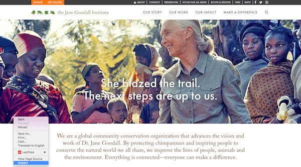 WordPress Themes and Plugins - Inspect Website