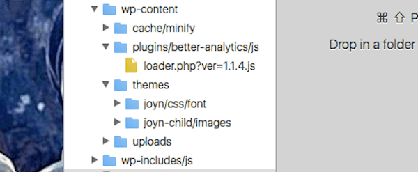 WordPress Themes and Plugins - WP-content Peek