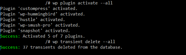 Using WP-CLI via SSH on Local