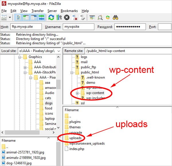 Screenshot of FTP client with wp-content uploads folder selected.