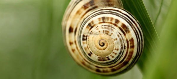 WP Offload S3 plugin