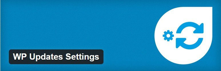 Try out the WP Updates Setting plugin for free.