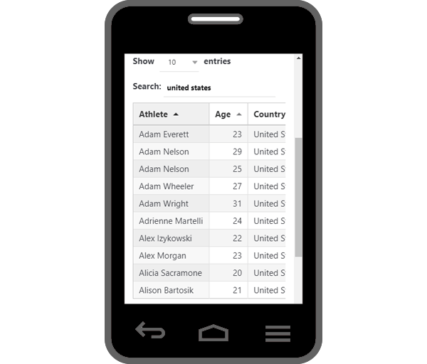 Mockup of mobile responsive table created using wpDataTables plugin.