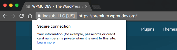 The WPMU DEV site has been secured with an SSL certificate.