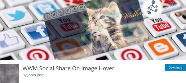 WWM Social Share On Image Hover plugin for WordPress.