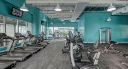 silownia i branza fitness